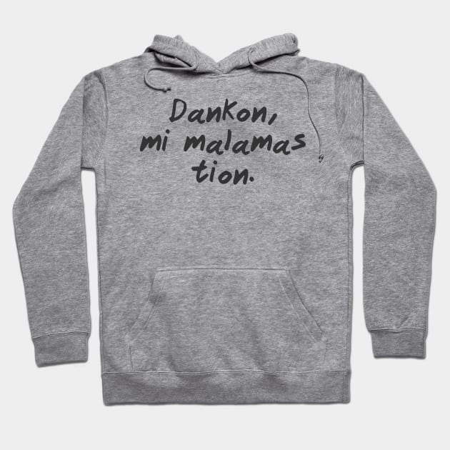 Thanks, I Hate It (Esperanto) Hoodie by dikleyt